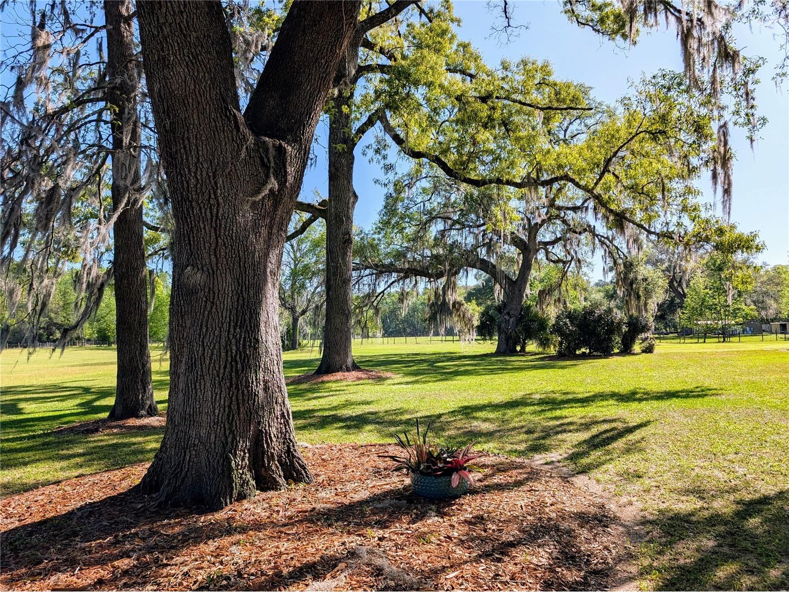 21840 NW 218th Terrace High Springs FL 32643 GC539069 image73