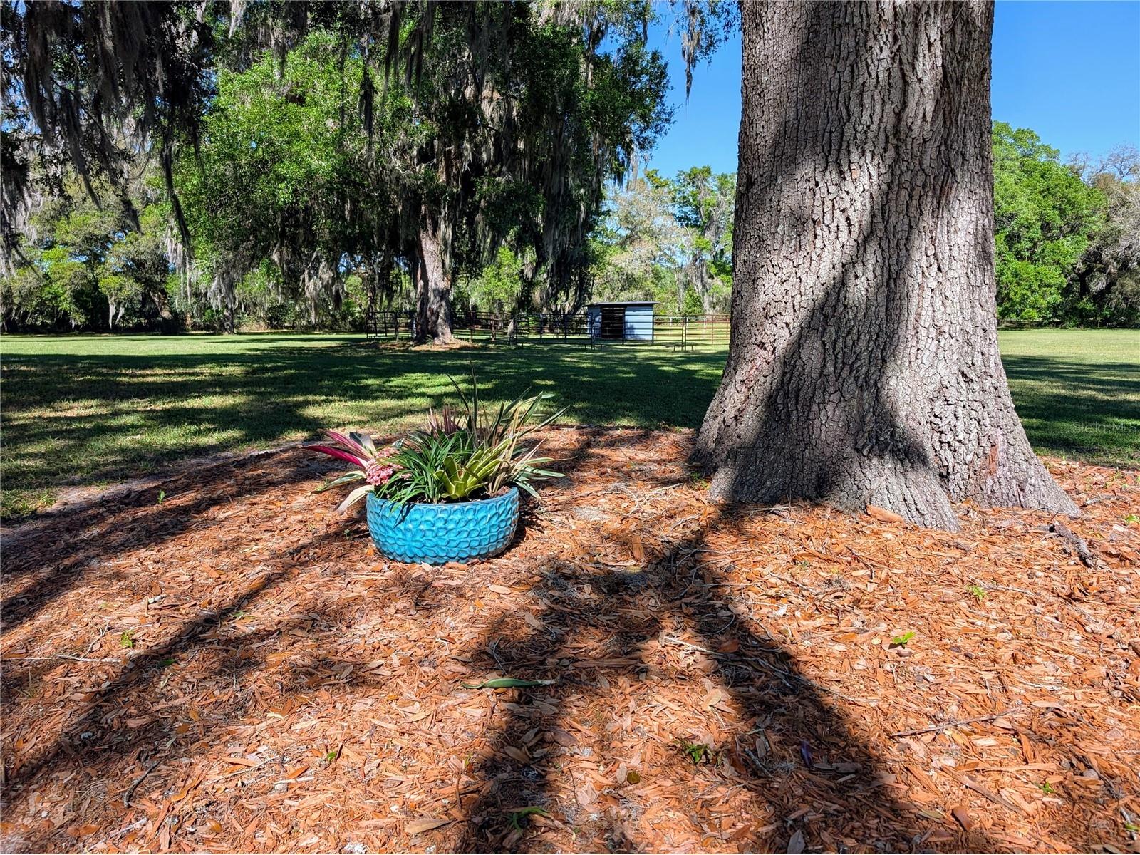 21840 NW 218th Terrace High Springs FL 32643 GC539069 image76
