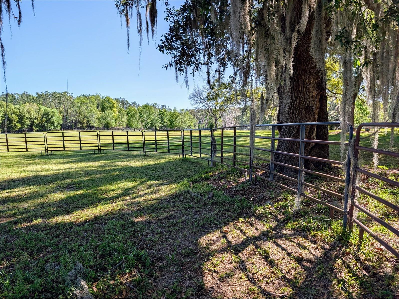 21840 NW 218th Terrace High Springs FL 32643 GC539069 image79