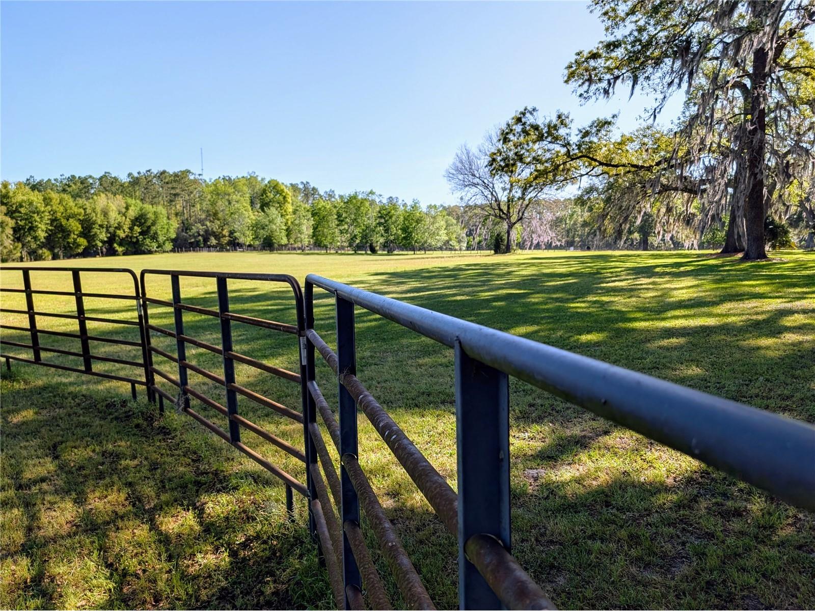 21840 NW 218th Terrace High Springs FL 32643 GC539069 image80