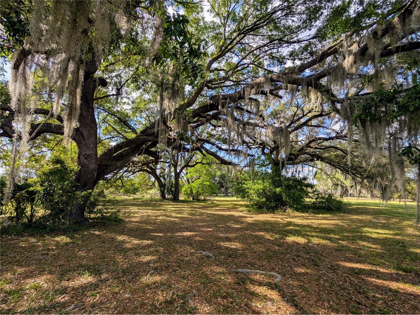 21840 NW 218th Terrace High Springs FL 32643 GC539069 image89