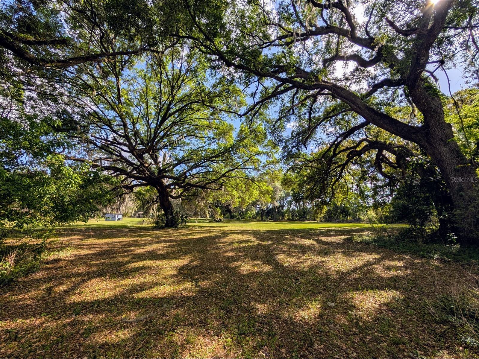 21840 NW 218th Terrace High Springs FL 32643 GC539069 image90
