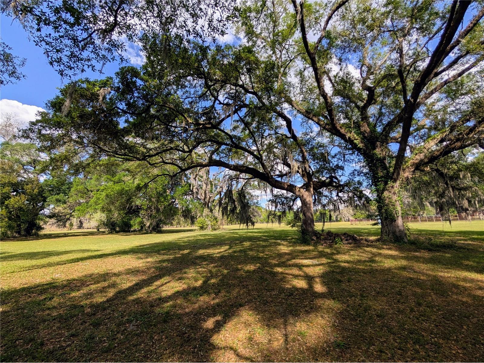 21840 NW 218th Terrace High Springs FL 32643 GC539069 image91