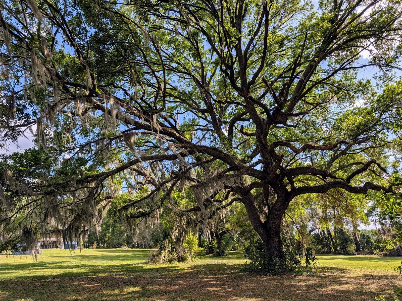 21840 NW 218th Terrace High Springs FL 32643 GC539069 image94