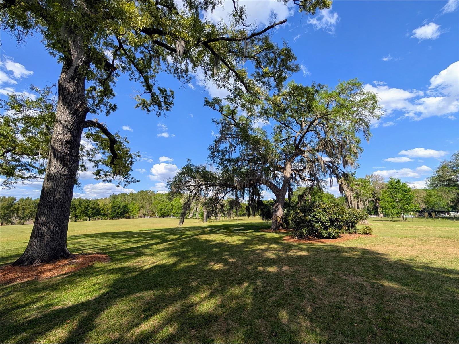 21840 NW 218th Terrace High Springs FL 32643 GC539069 image95
