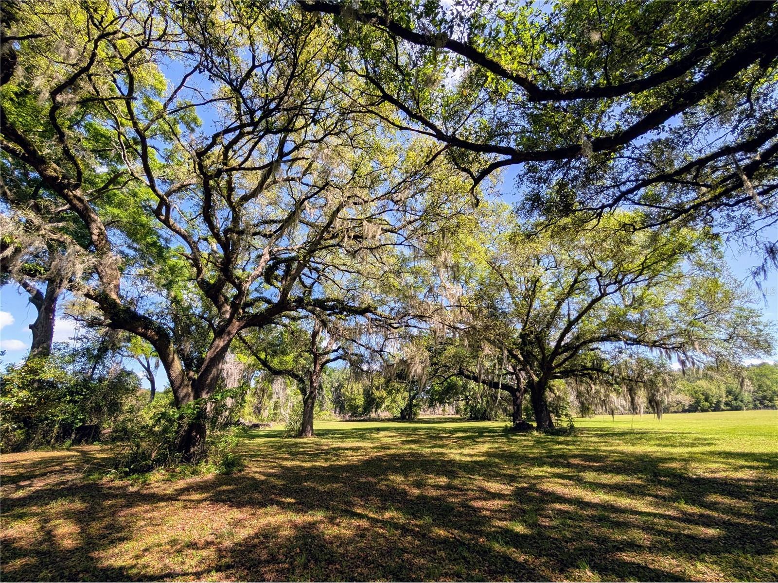21840 NW 218th Terrace High Springs FL 32643 GC539069 image96