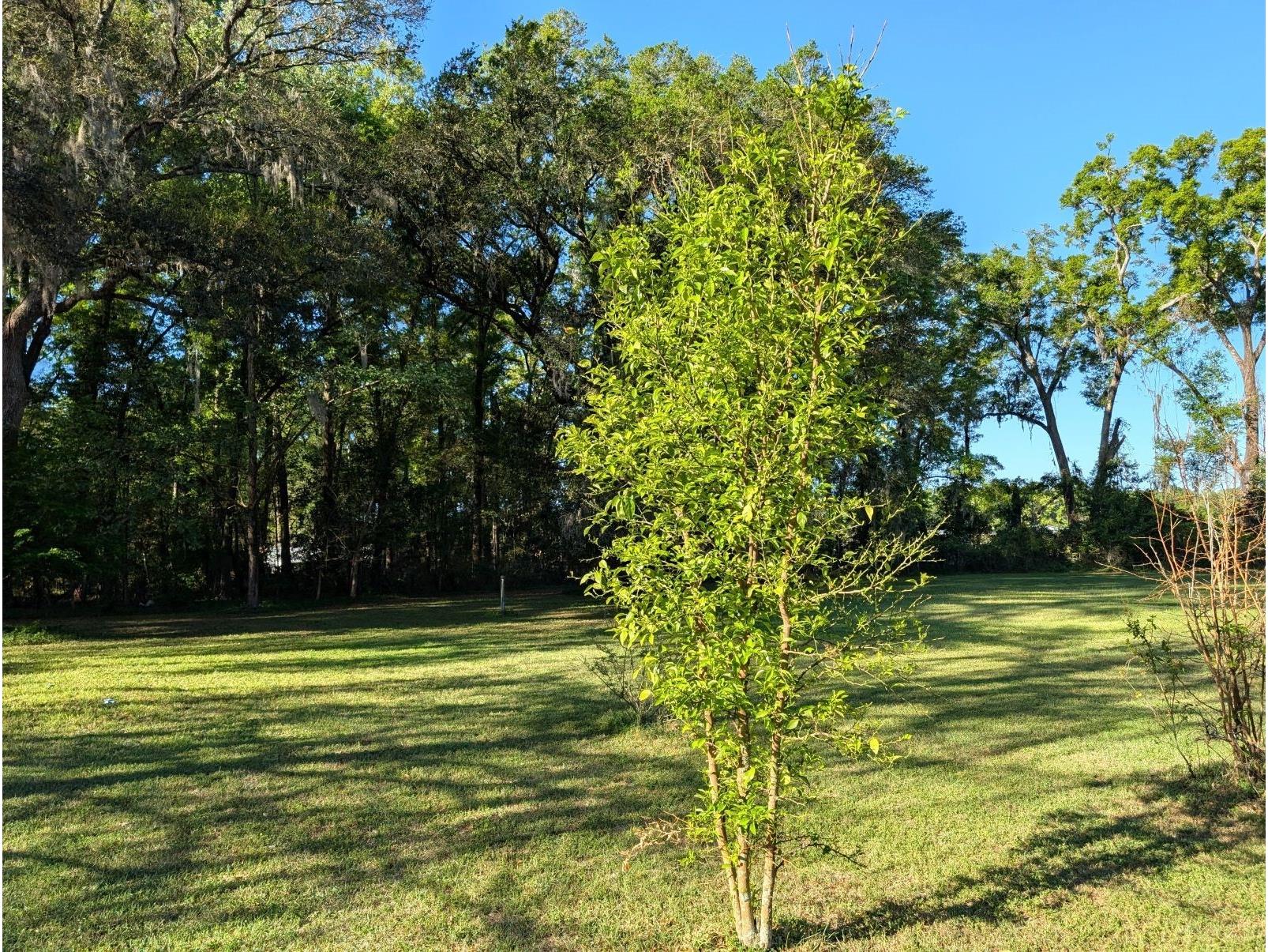 21840 NW 218th Terrace High Springs FL 32643 GC539069 image99