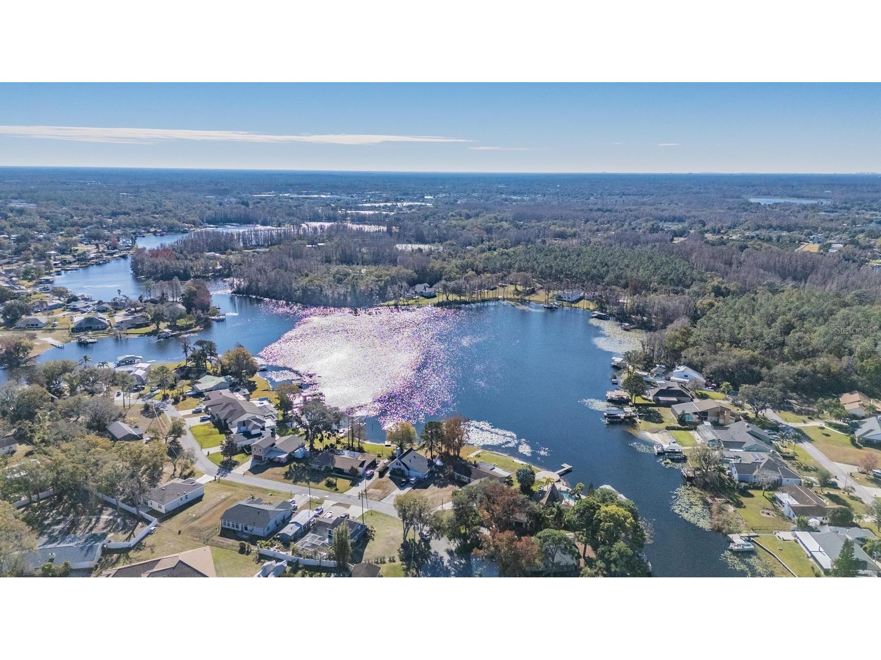 21844 Ocean Pines Drive Land O Lakes FL 34639 - LAKE SAXSON TB8470351 image44