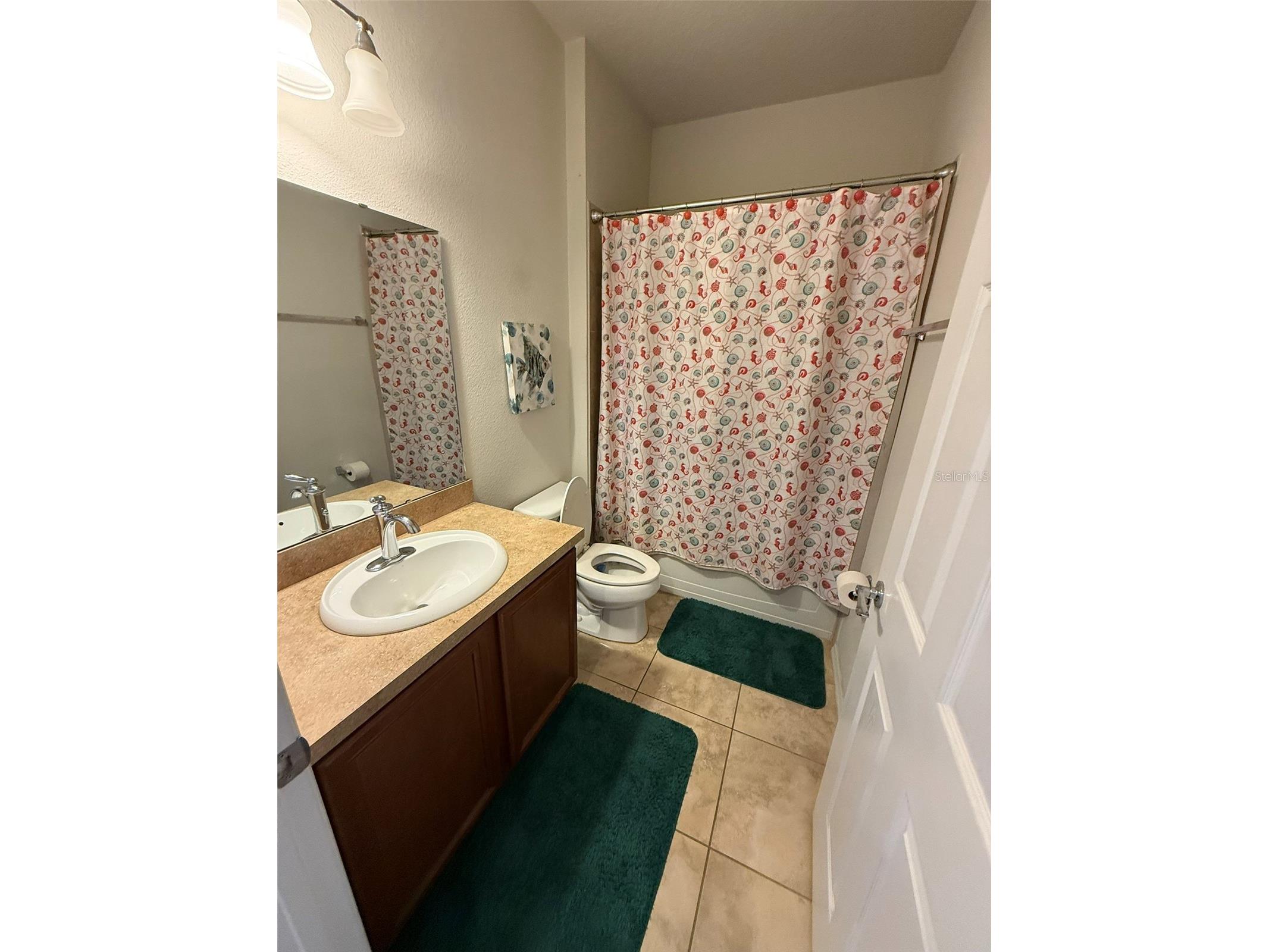 21846 Belgian Court Mount Dora FL 32757 G5114518 image18