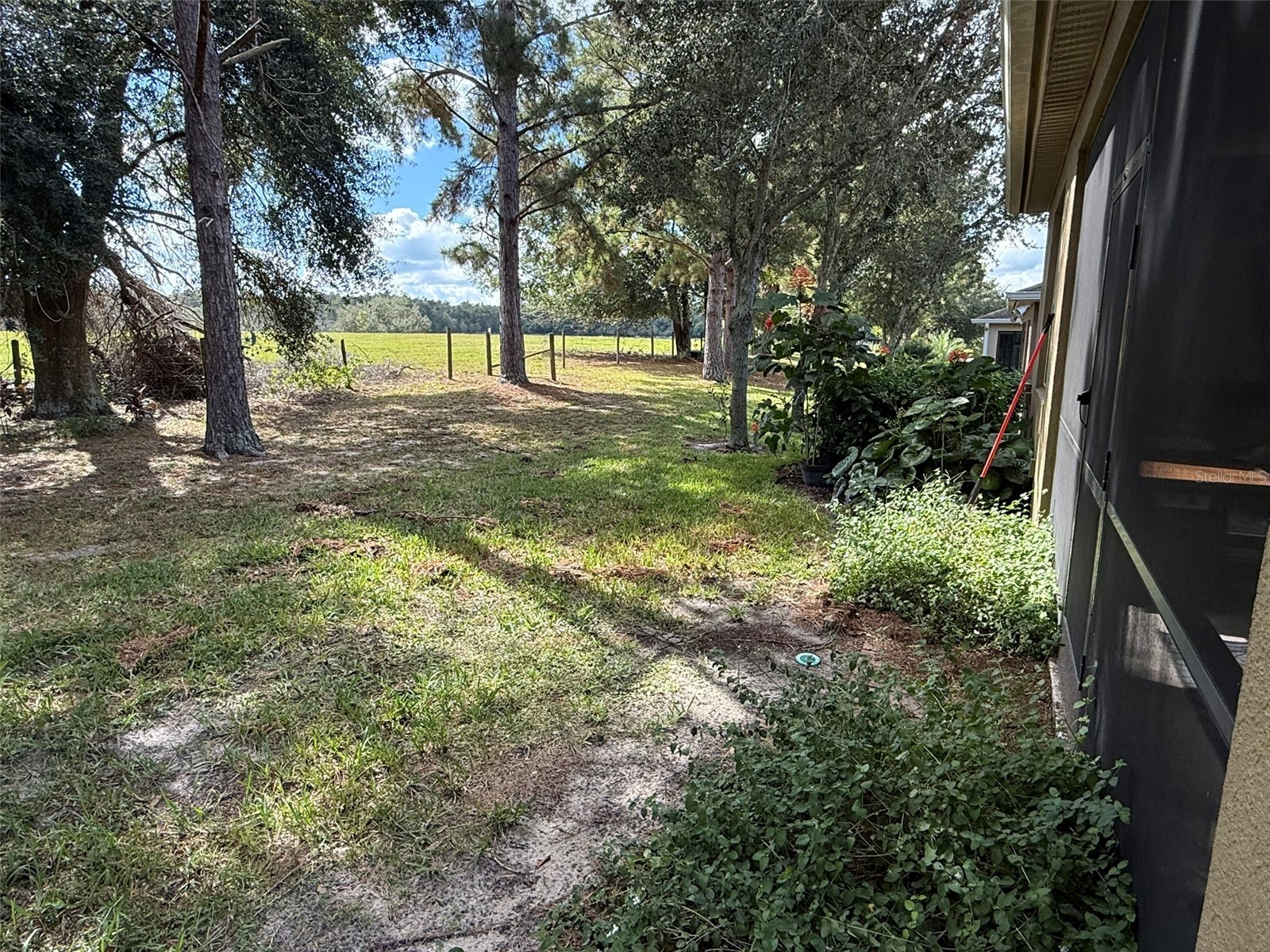 21846 Belgian Court Mount Dora FL 32757 G5114518 image23