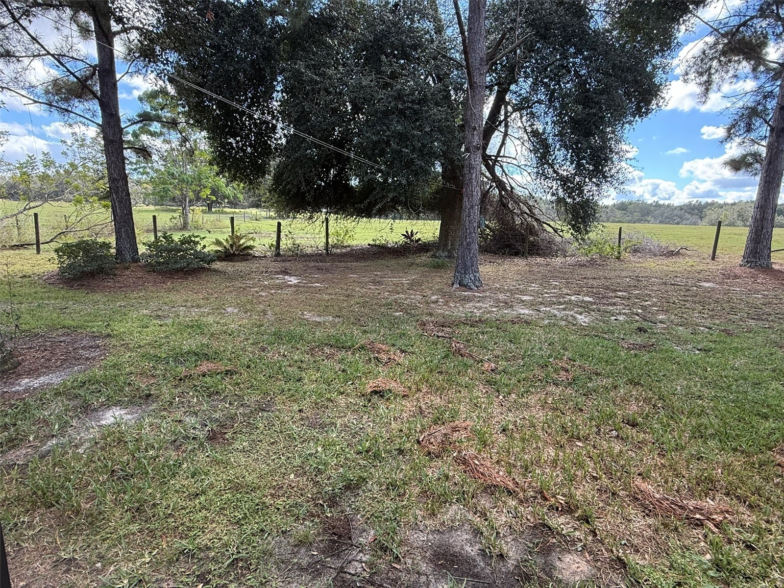 21846 Belgian Court Mount Dora FL 32757 G5114518 image27
