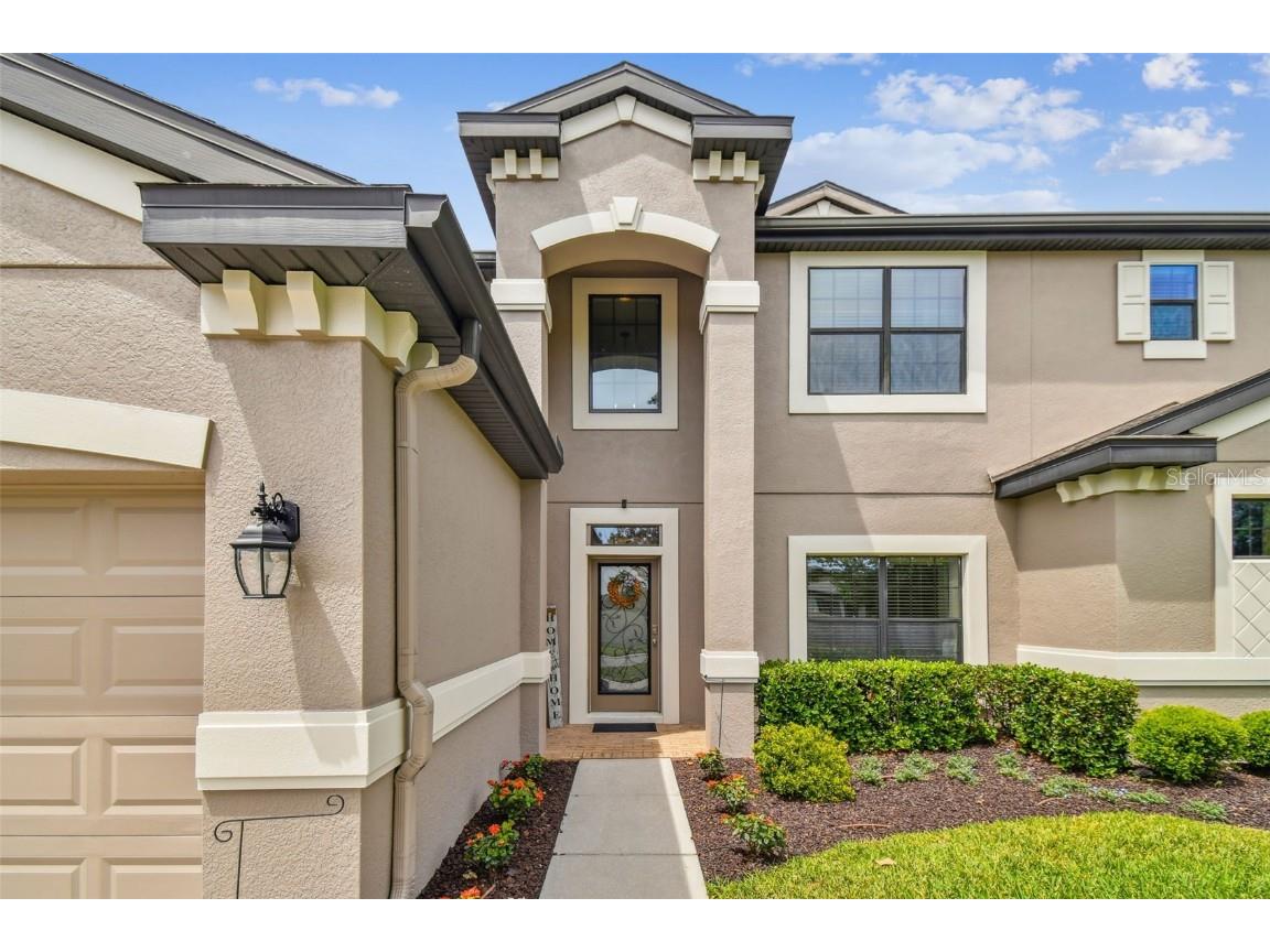 21847 Billowy Jaunt Drive Land O Lakes FL 34637 T3515393 image1