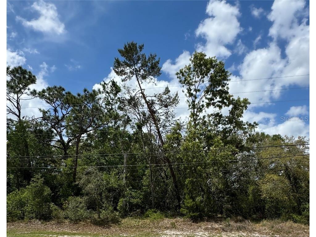 2185 Waterfall Drive Spring Hill FL 34608 TB8370684 image1