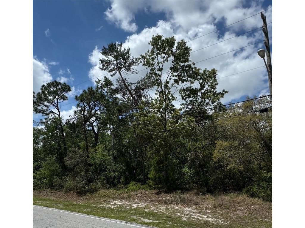 2185 Waterfall Drive Spring Hill FL 34608 TB8370684 image3