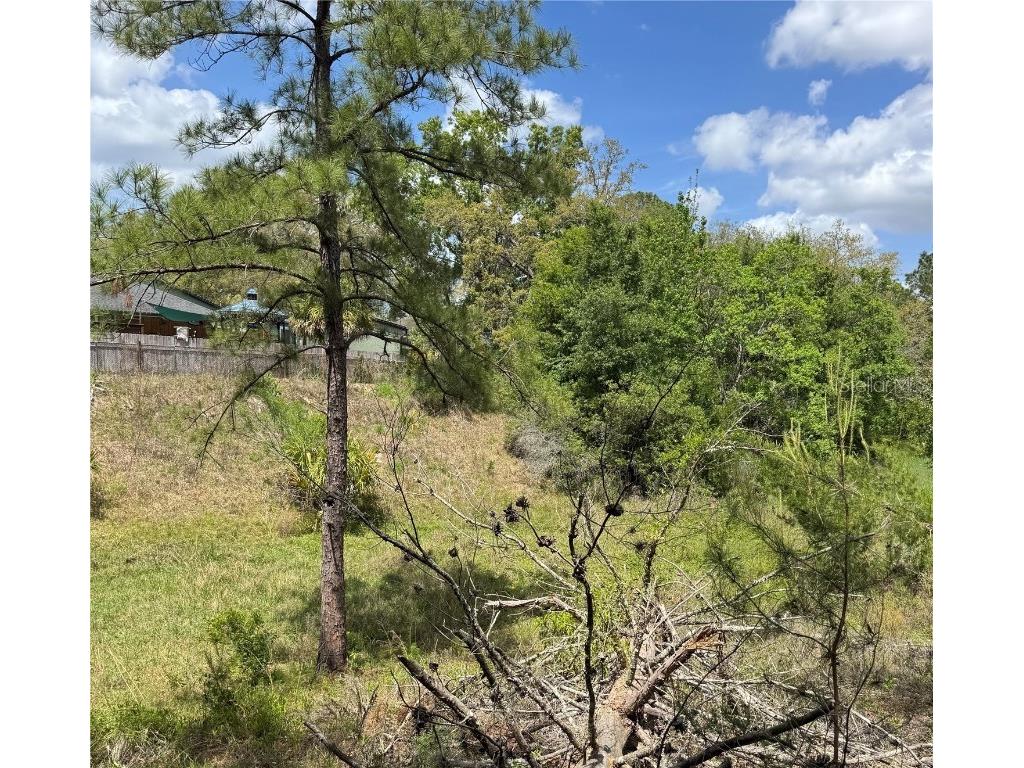 2185 Waterfall Drive Spring Hill FL 34608 TB8370684 image4