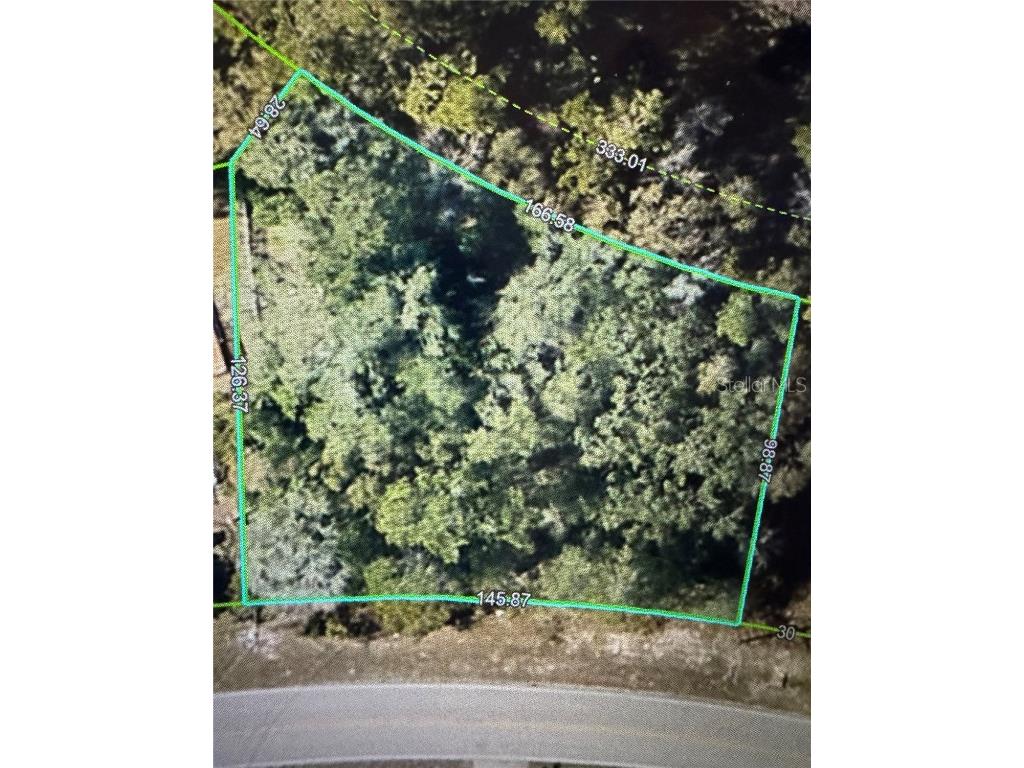 2185 Waterfall Drive Spring Hill FL 34608 TB8370684 image5