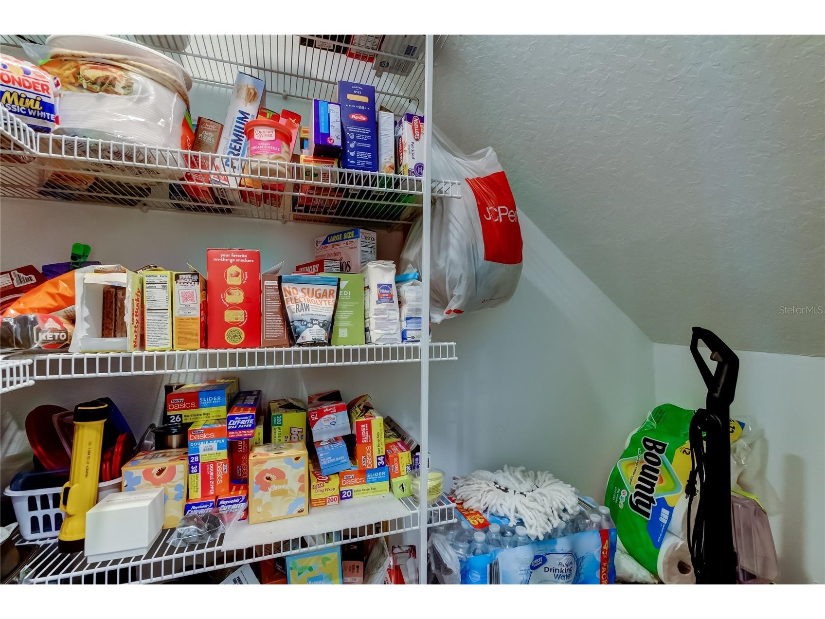 21851 Lyonia Lane Land O Lakes FL 34637 TB8479932 image10