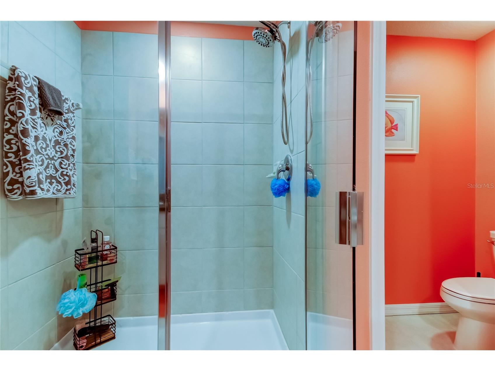 21851 Lyonia Lane Land O Lakes FL 34637 TB8479932 image27