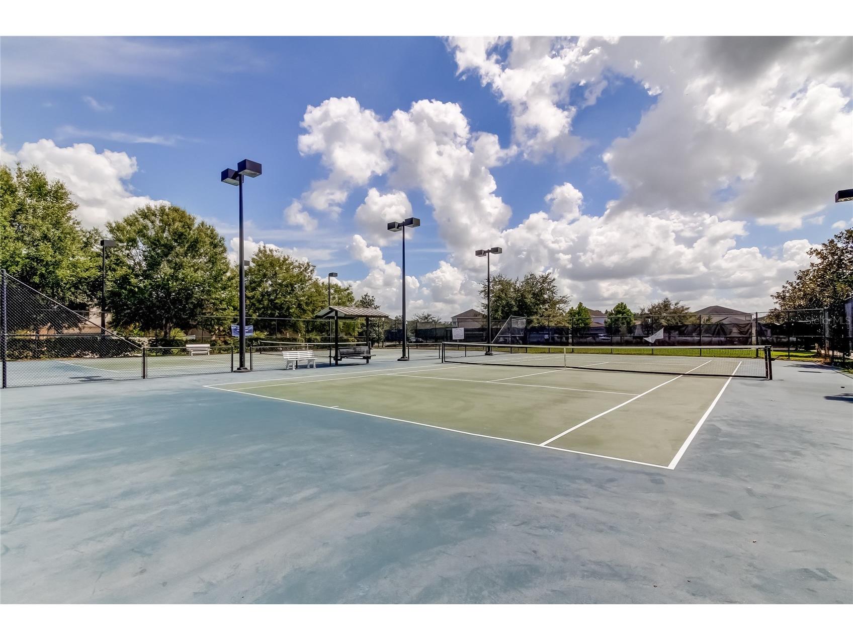 21851 Lyonia Lane Land O Lakes FL 34637 TB8479932 image53