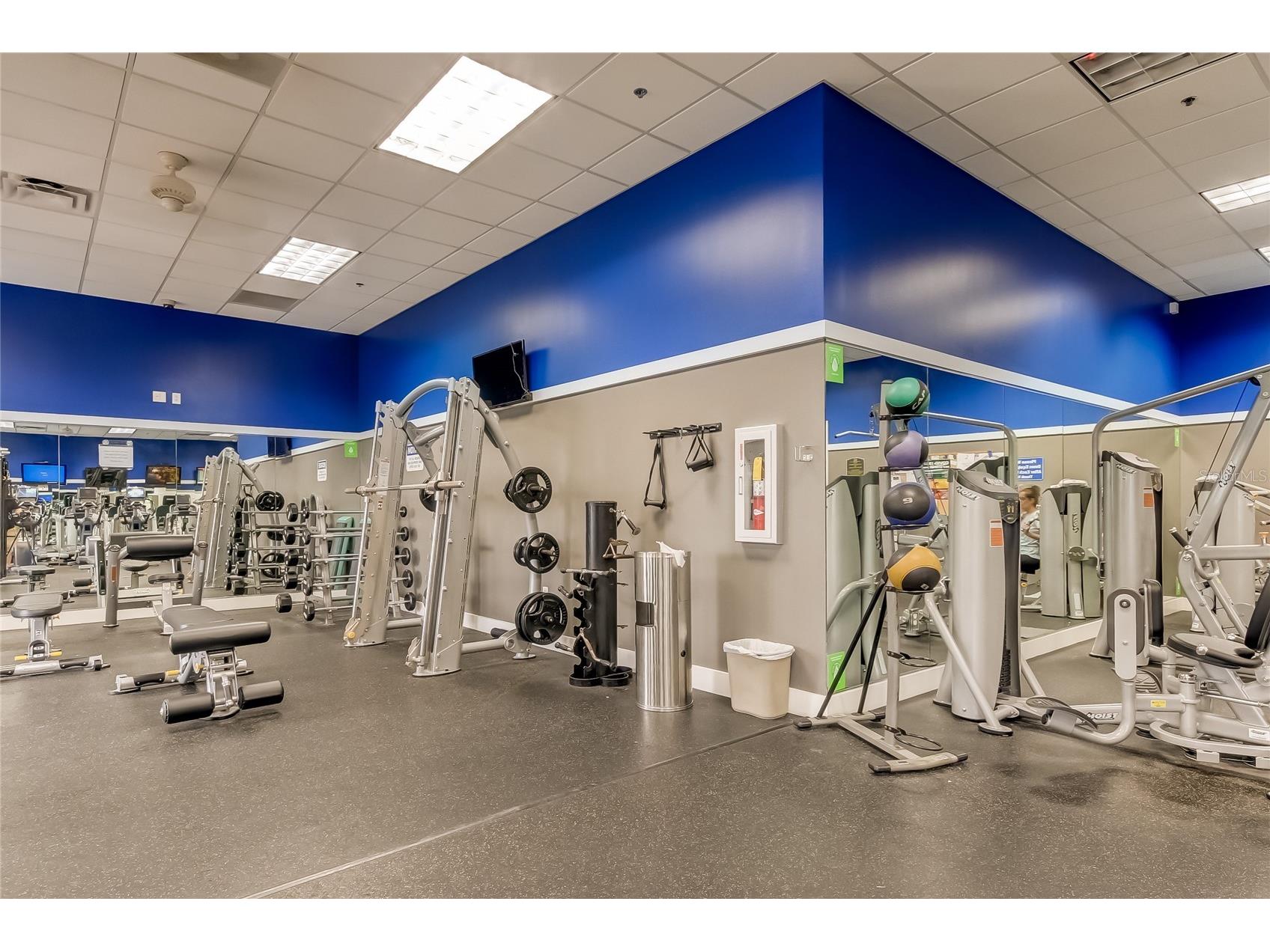 21851 Lyonia Lane Land O Lakes FL 34637 TB8479932 image54