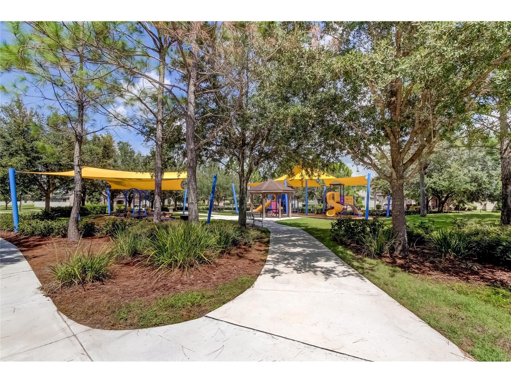 21851 Lyonia Lane Land O Lakes FL 34637 TB8479932 image59