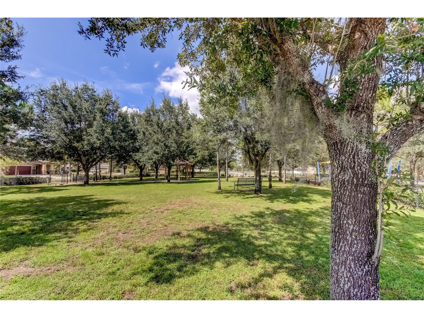 21851 Lyonia Lane Land O Lakes FL 34637 TB8479932 image60