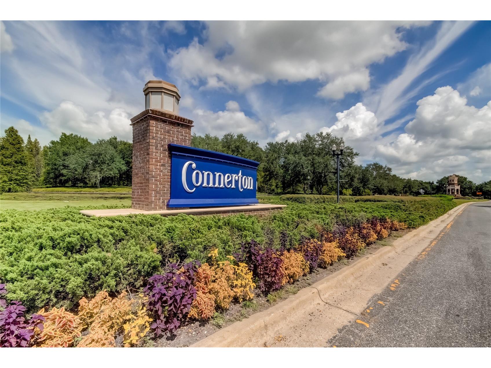 21851 Lyonia Lane Land O Lakes FL 34637 TB8521989 image28