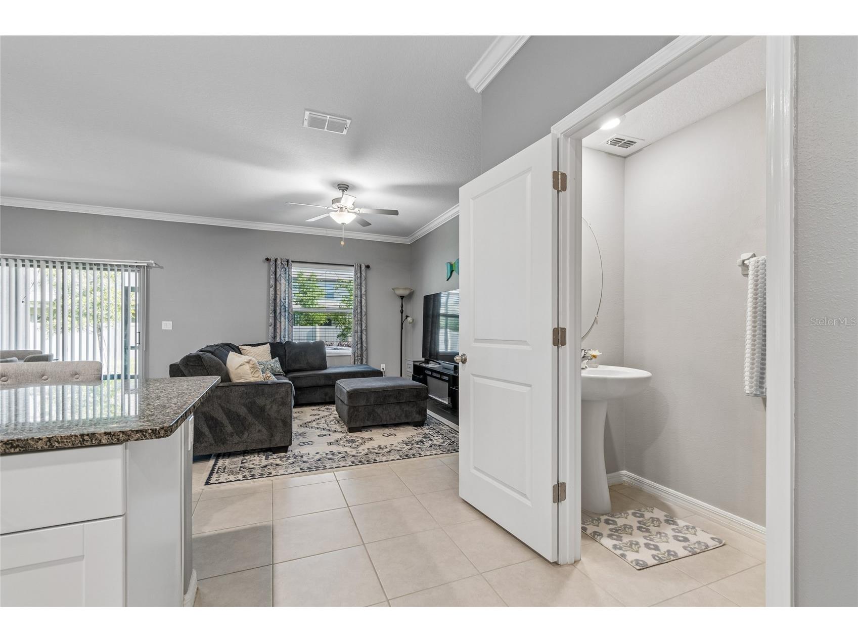 21851 Lyonia Lane Land O Lakes FL 34637 TB8521989 image4