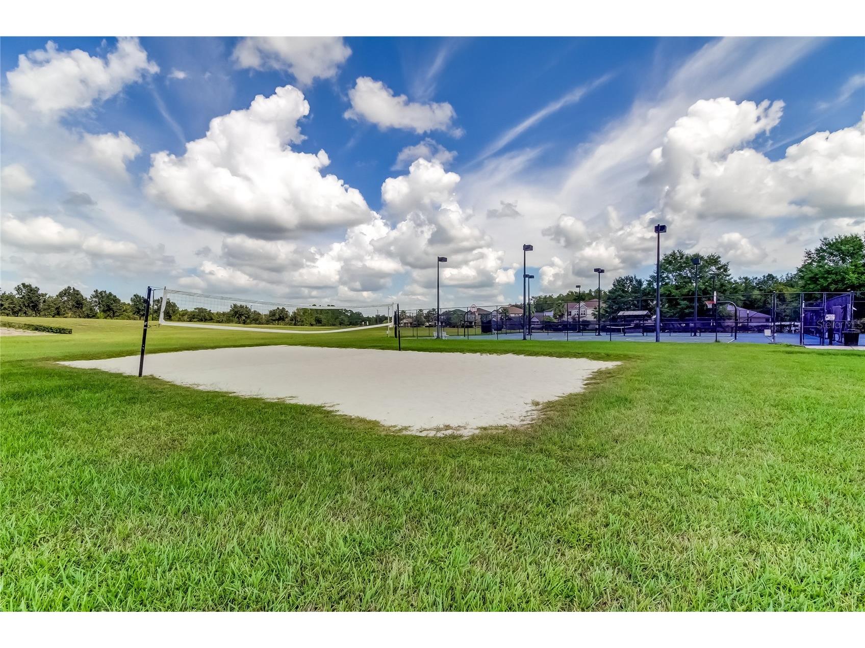 21851 Lyonia Lane Land O Lakes FL 34637 TB8521989 image45
