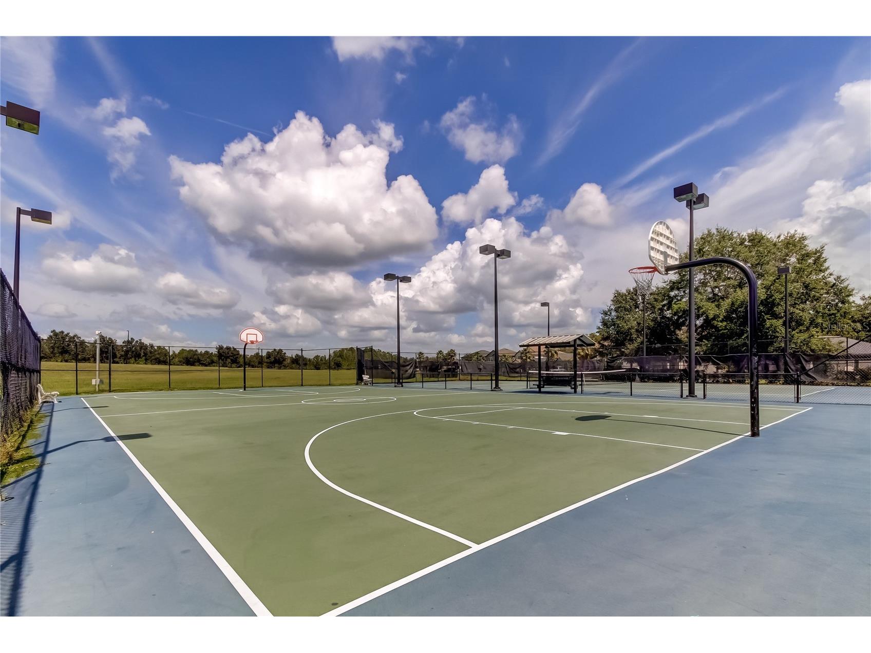 21851 Lyonia Lane Land O Lakes FL 34637 TB8521989 image46