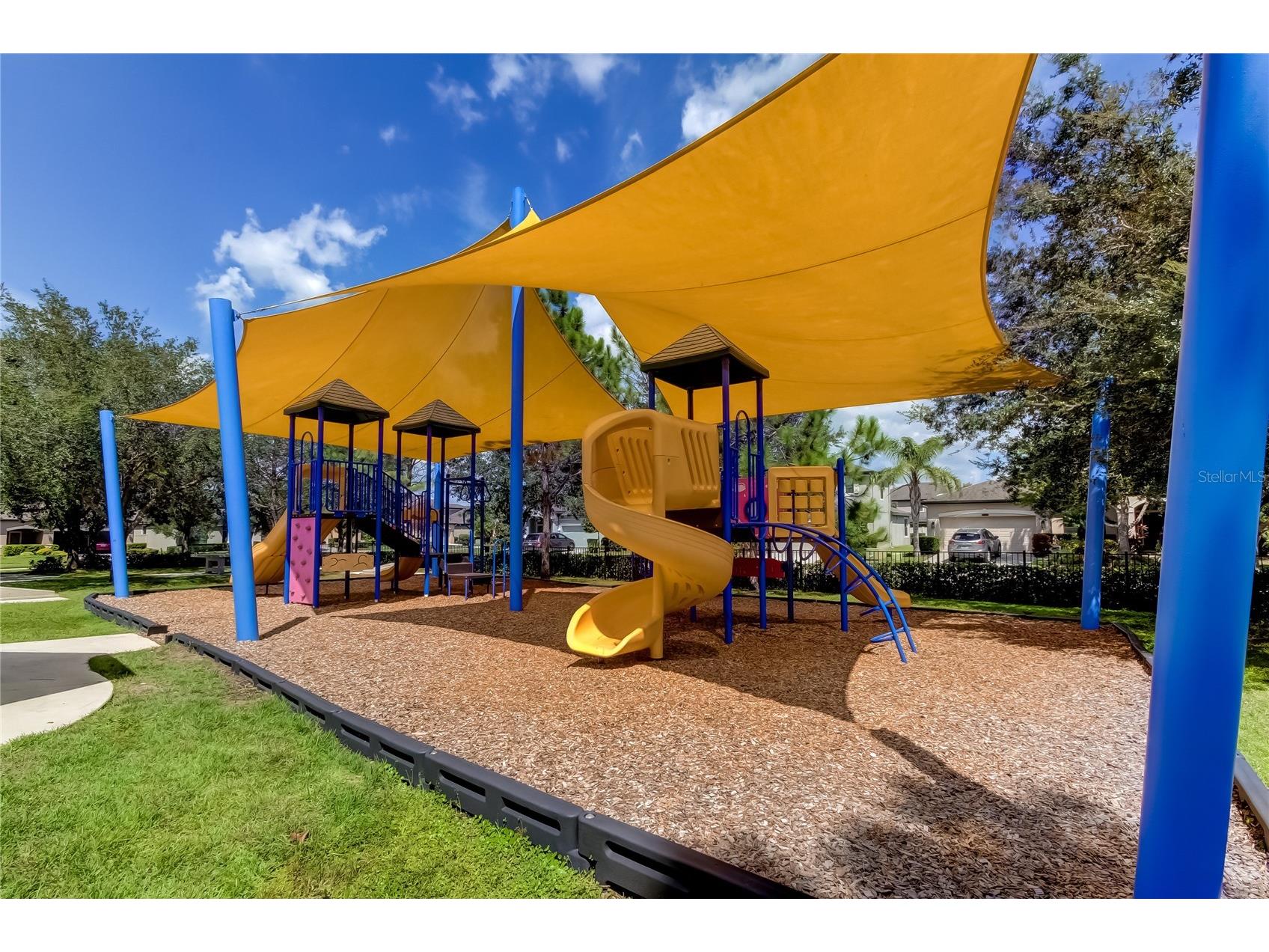 21851 Lyonia Lane Land O Lakes FL 34637 TB8521989 image49
