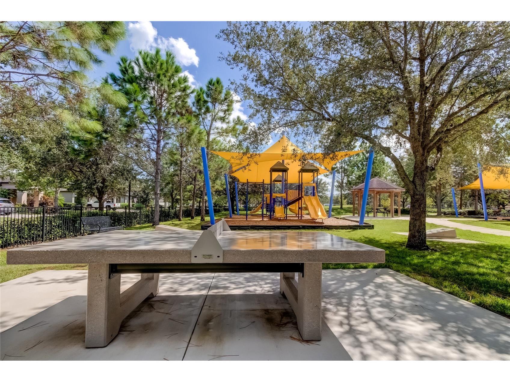 21851 Lyonia Lane Land O Lakes FL 34637 TB8521989 image50