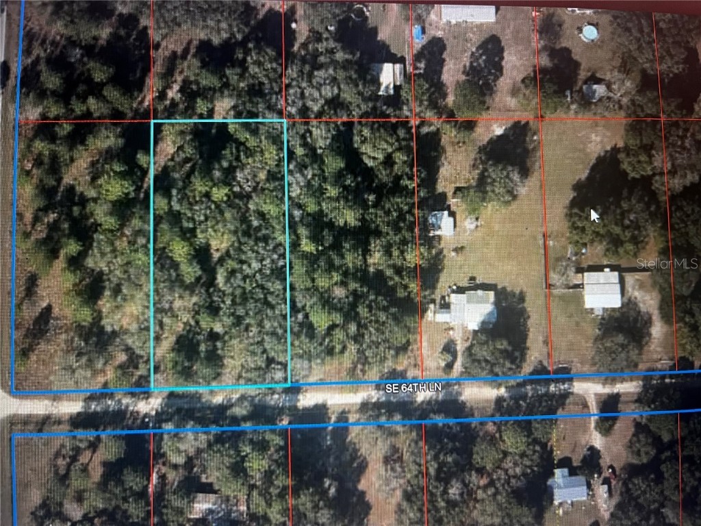 21851 SE 64th Lane Morriston FL 32668 OM669874 image1