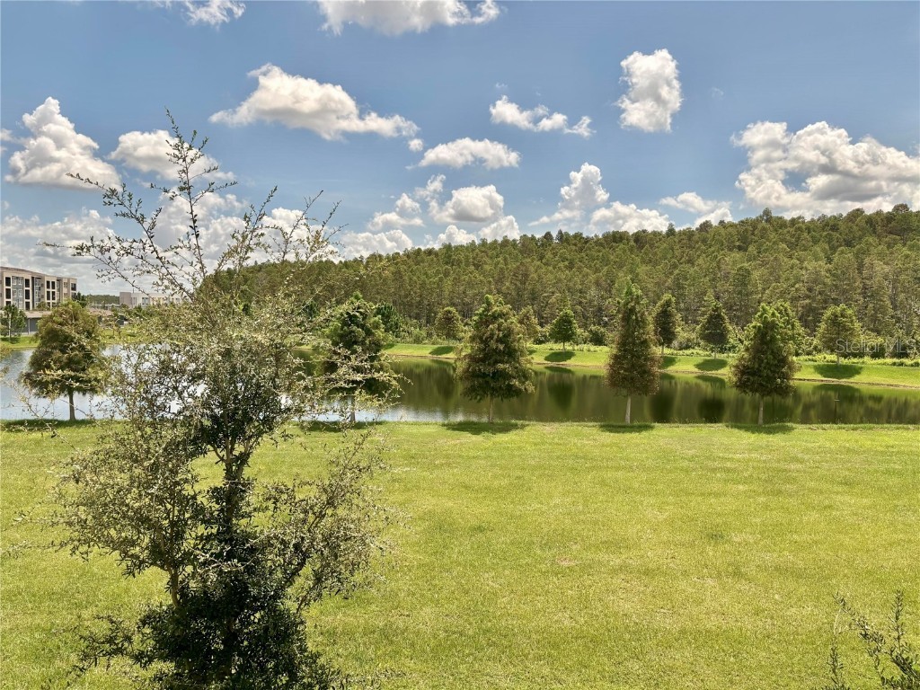 2186 Great Sapphire Lane Lutz FL 33558 O6363100 image17