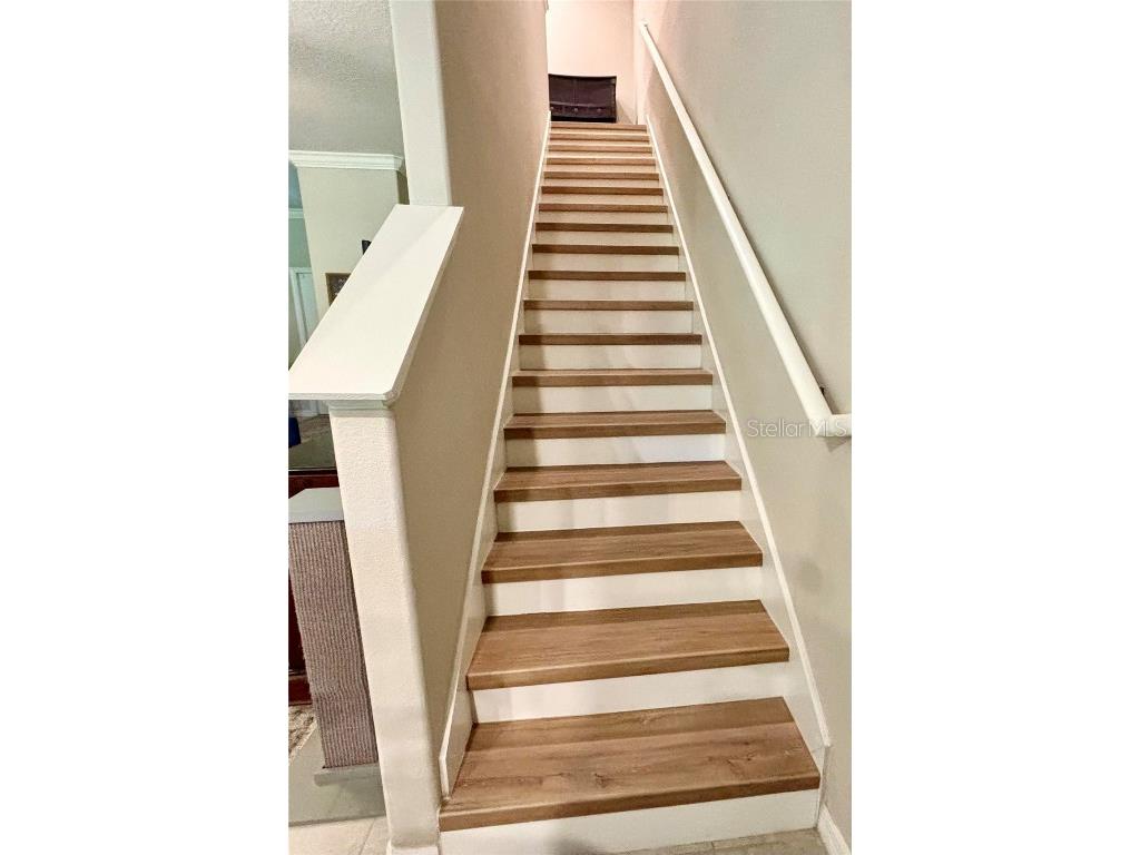 2186 Great Sapphire Lane Lutz FL 33558 O6363100 image7