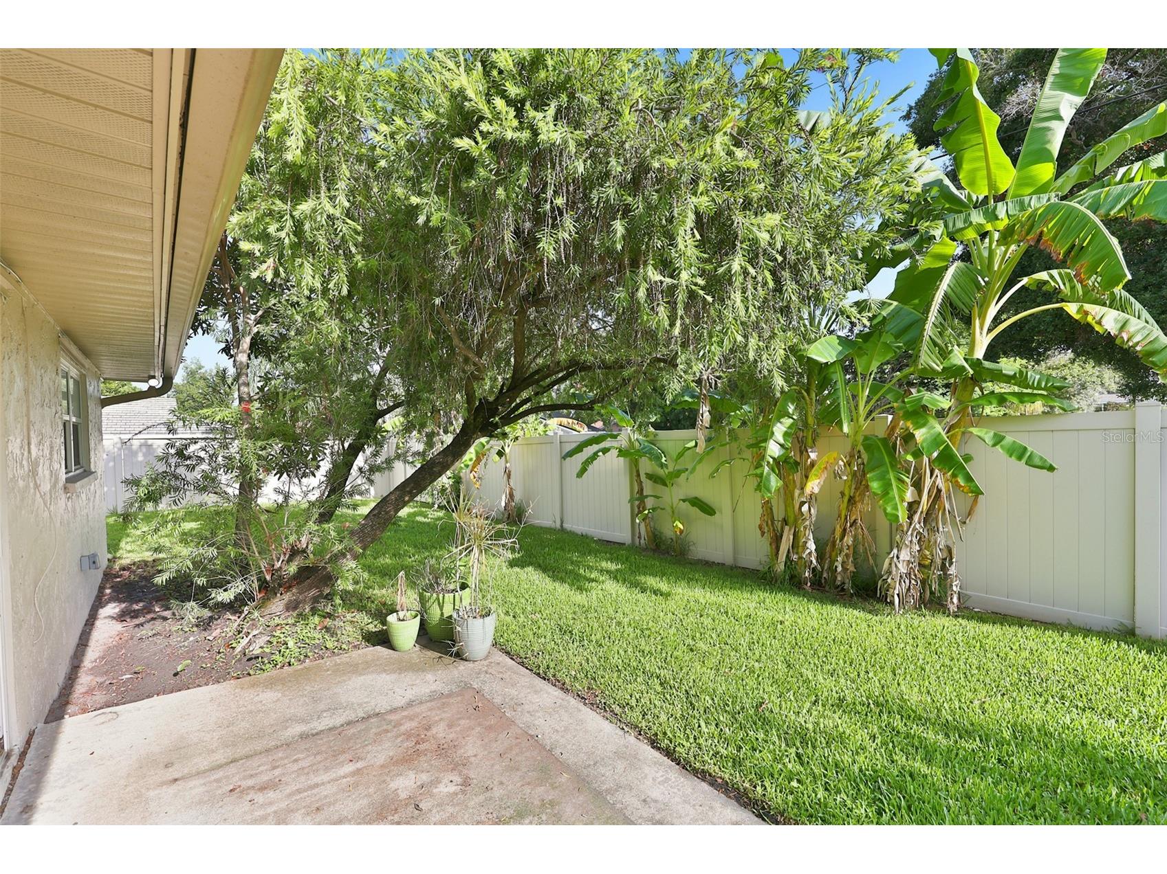 2186 Marshall Drive #2186 Dunedin FL 34698 TB8527234 image31