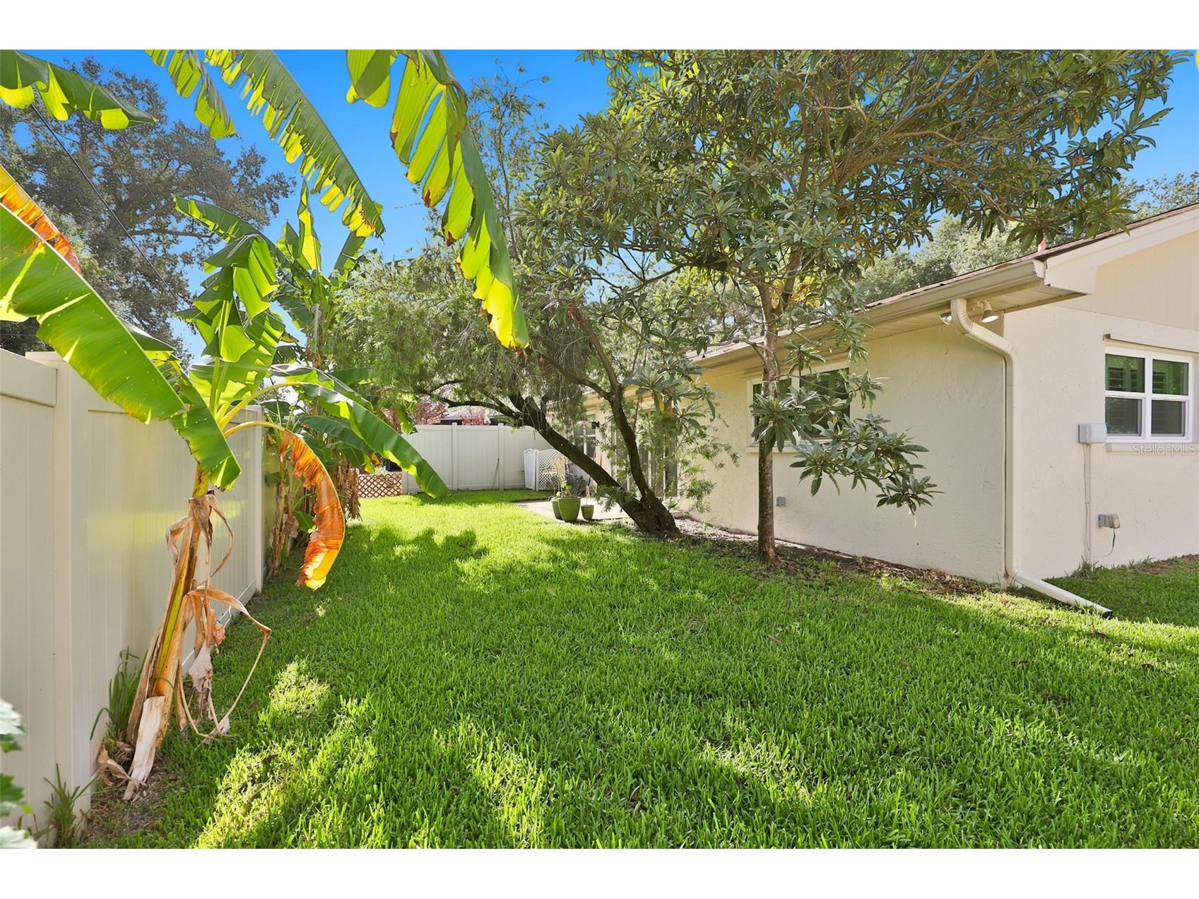 2186 Marshall Drive #2186 Dunedin FL 34698 TB8527234 image33