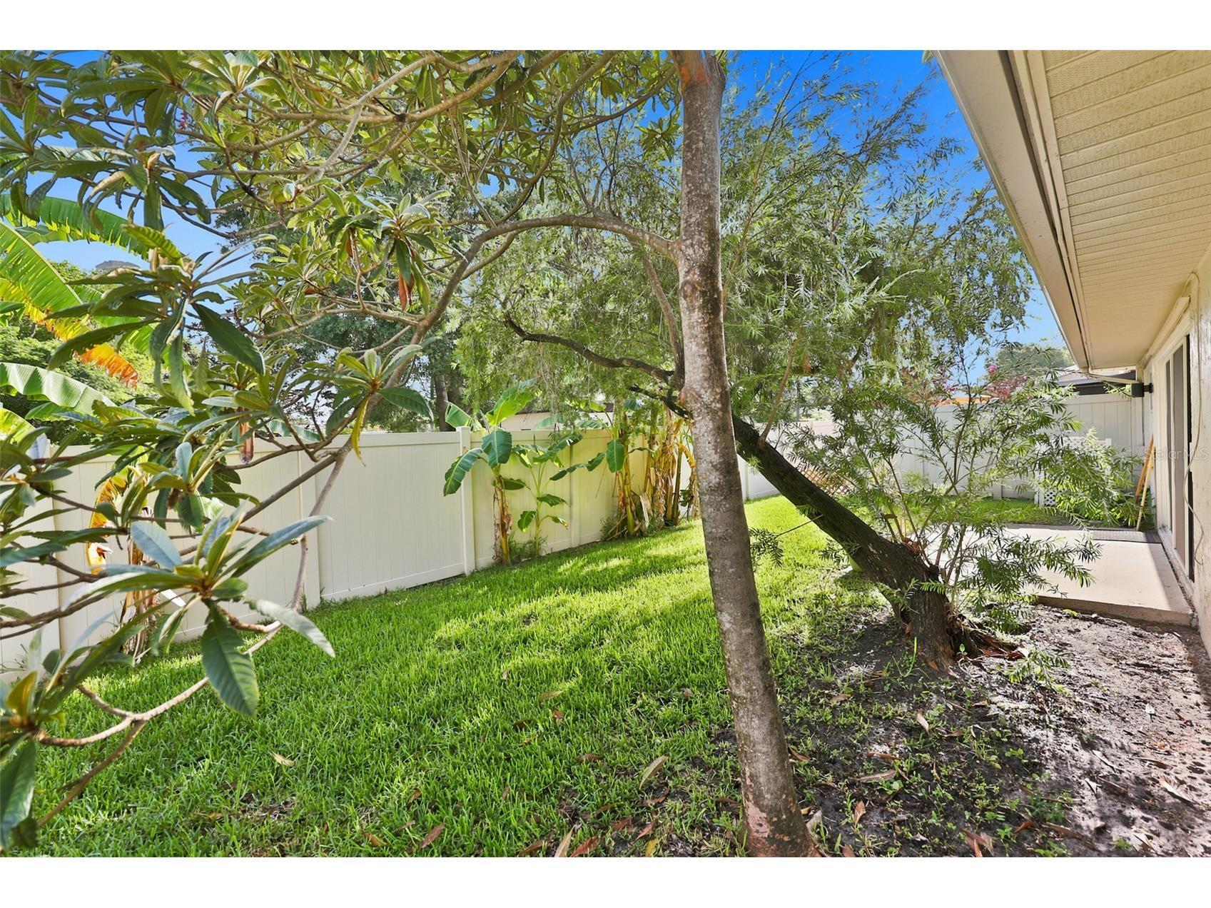 2186 Marshall Drive #2186 Dunedin FL 34698 TB8527234 image34
