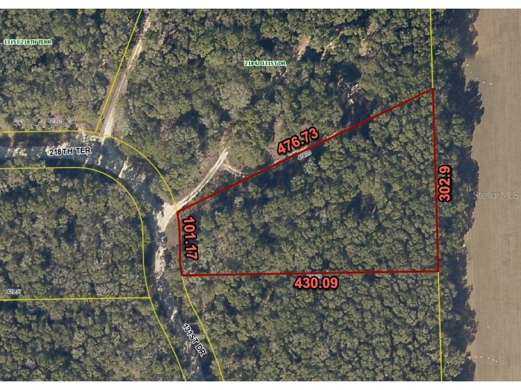 21862 131 Drive O'Brien FL 32071 O6288596 image1