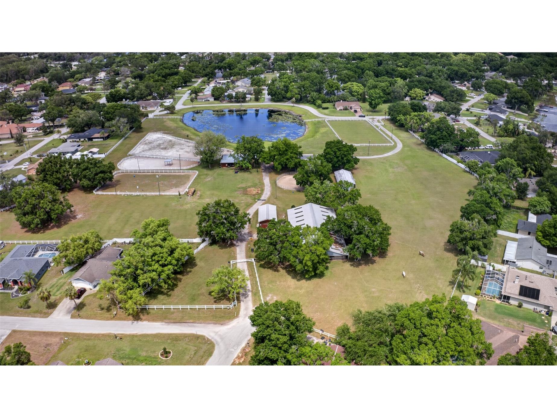 21865 Ocean Pines Drive Land O Lakes FL 34639 - LAKE PADGETT LAKE SAXON TB8496176 image60