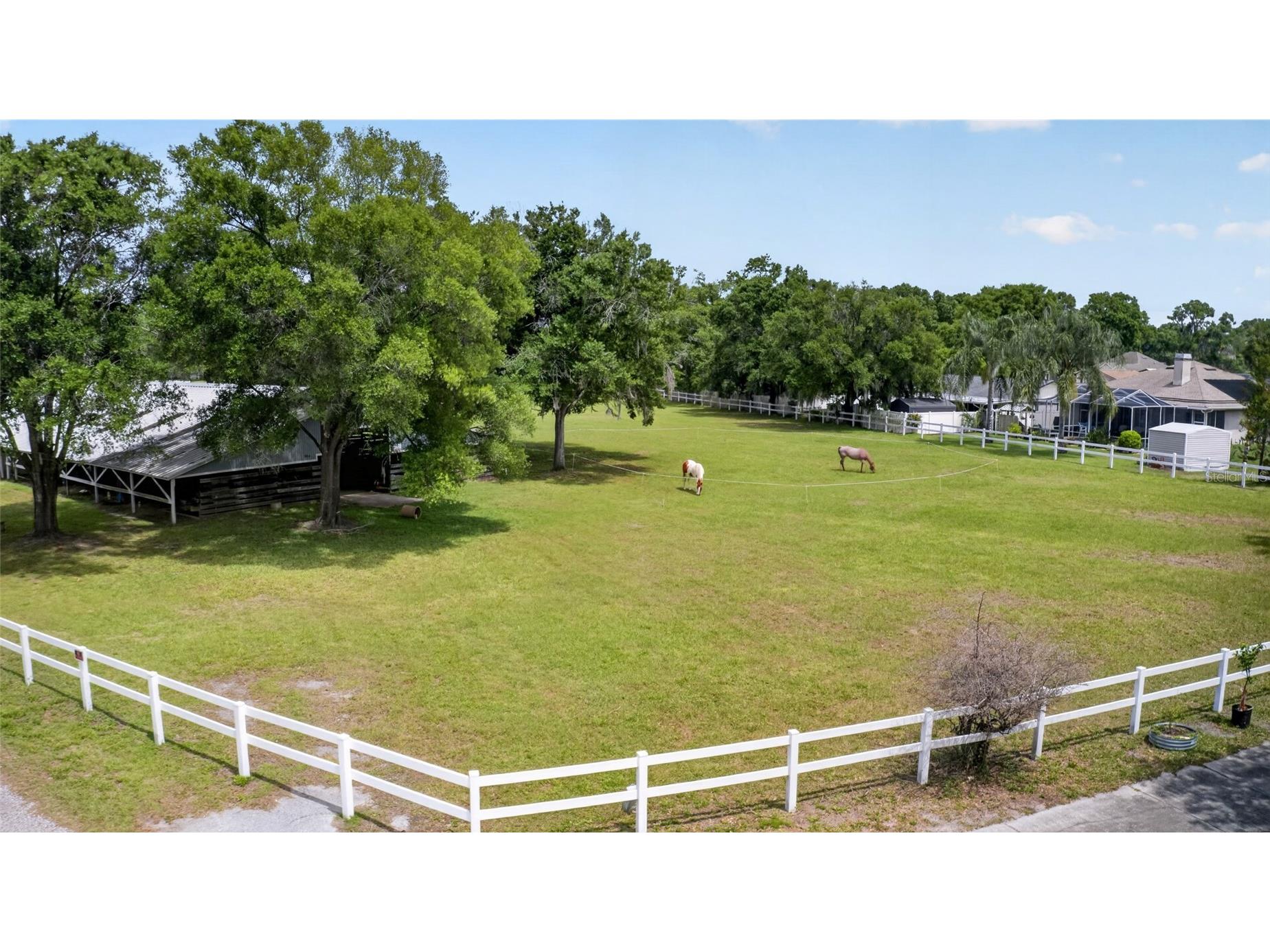 21865 Ocean Pines Drive Land O Lakes FL 34639 - LAKE PADGETT LAKE SAXON TB8496176 image62