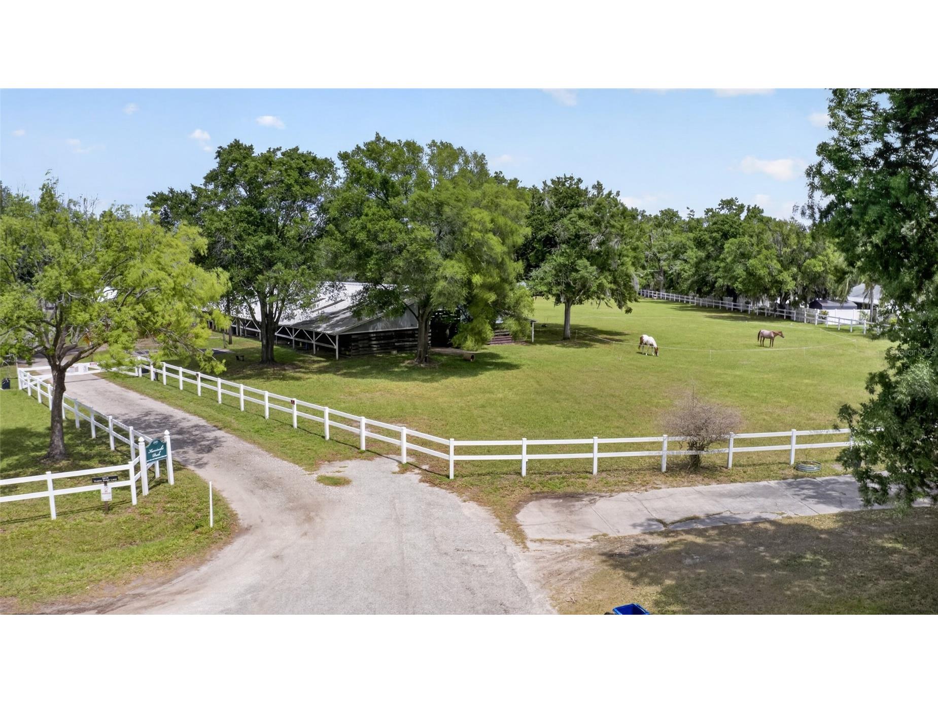 21865 Ocean Pines Drive Land O Lakes FL 34639 - LAKE PADGETT LAKE SAXON TB8496176 image63