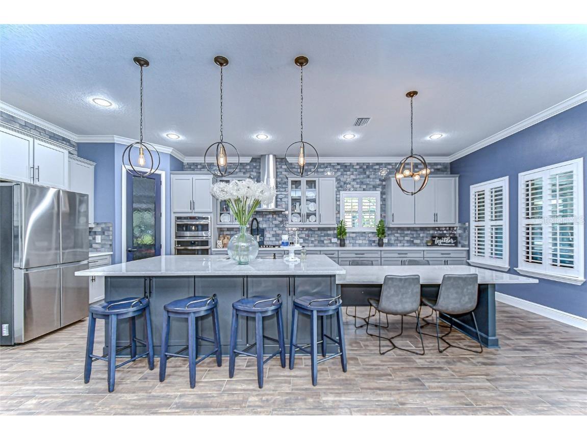 21867 Amelia Rose Way Land O Lakes FL 34637 - CURVE LAKE TB8432549 image21