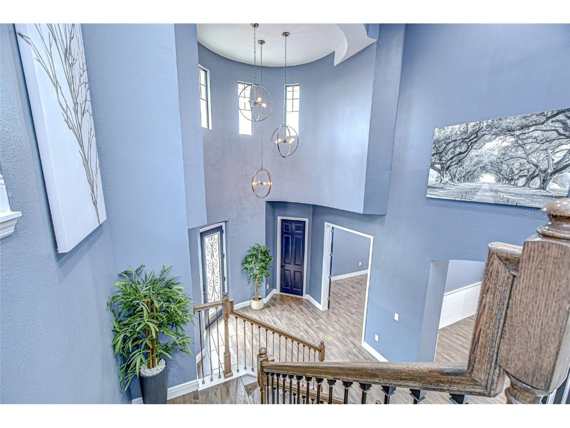 21867 Amelia Rose Way Land O Lakes FL 34637 - CURVE LAKE TB8432549 image25