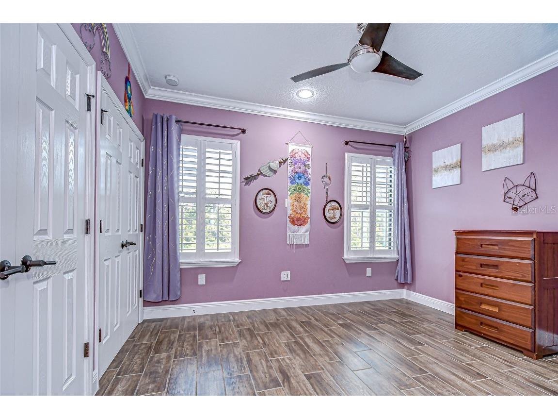 21867 Amelia Rose Way Land O Lakes FL 34637 - CURVE LAKE TB8432549 image36