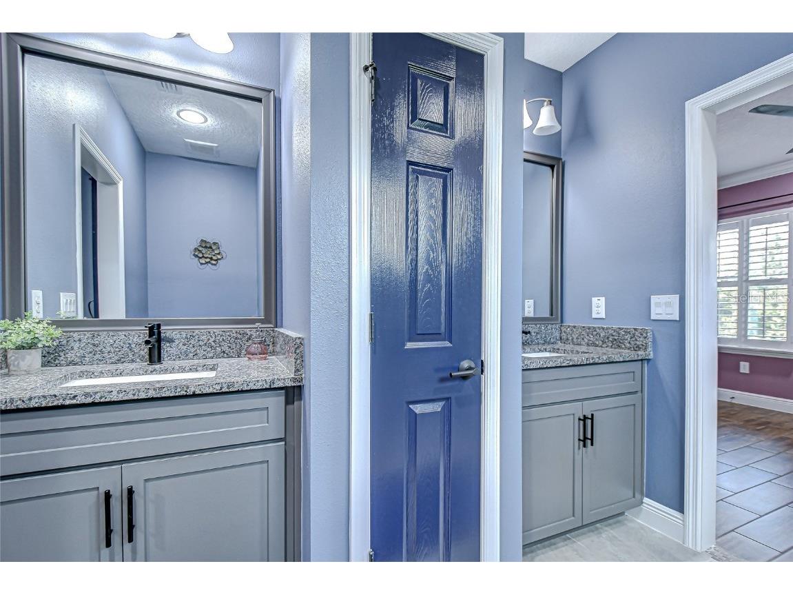 21867 Amelia Rose Way Land O Lakes FL 34637 - CURVE LAKE TB8432549 image41