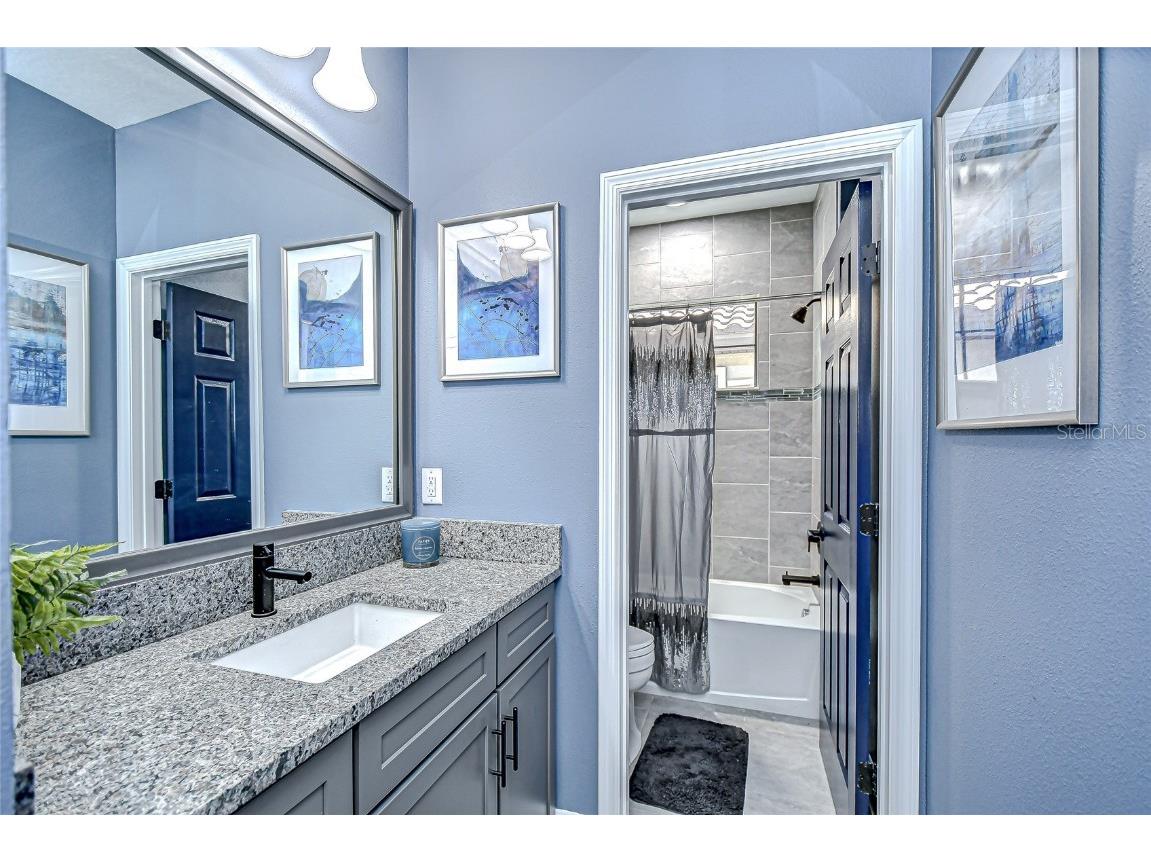 21867 Amelia Rose Way Land O Lakes FL 34637 - CURVE LAKE TB8432549 image42