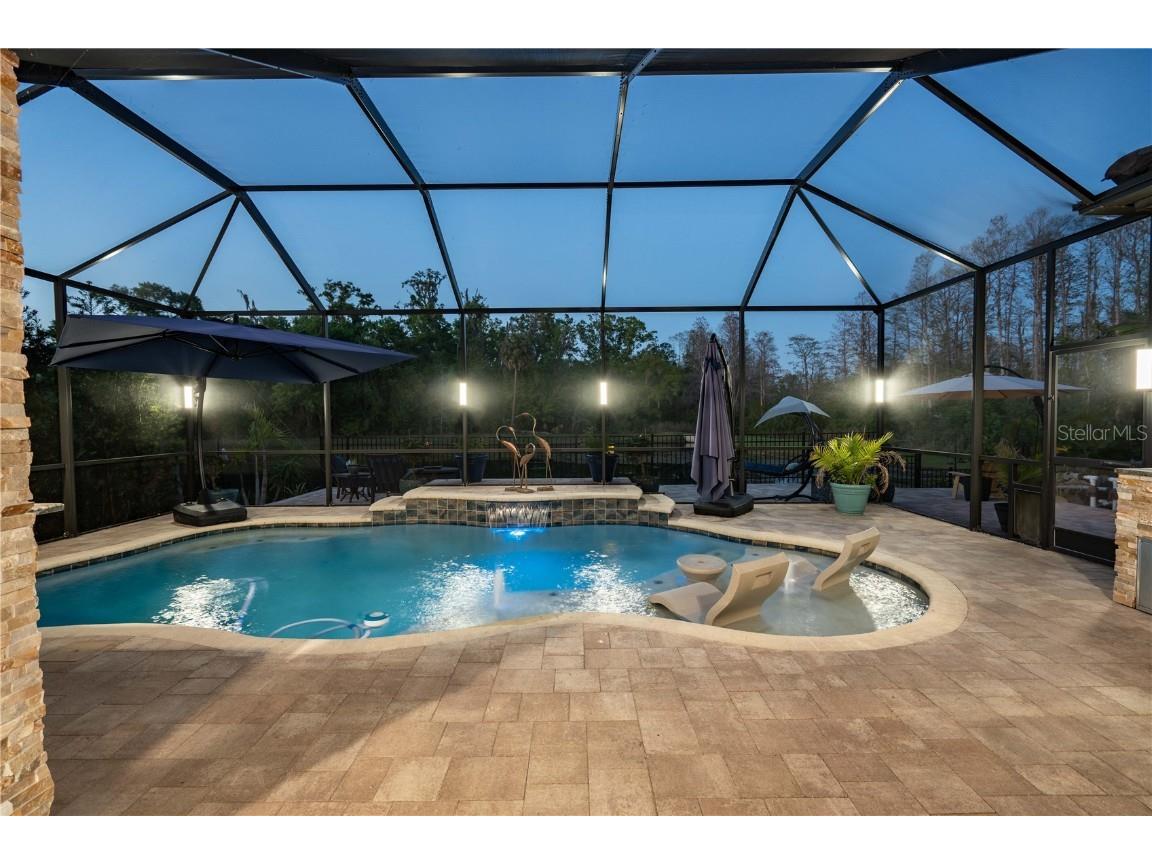 21867 Amelia Rose Way Land O Lakes FL 34637 - CURVE LAKE TB8432549 image58