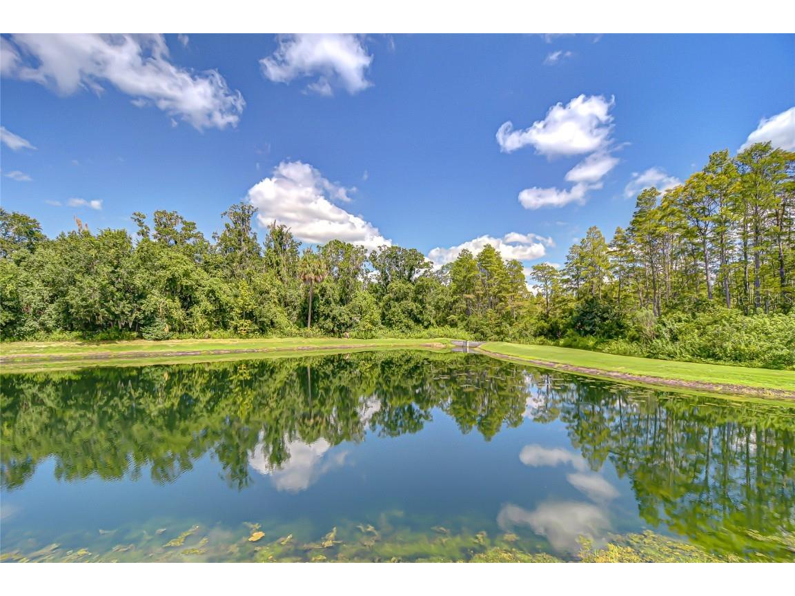 21867 Amelia Rose Way Land O Lakes FL 34637 - CURVE LAKE TB8432549 image65