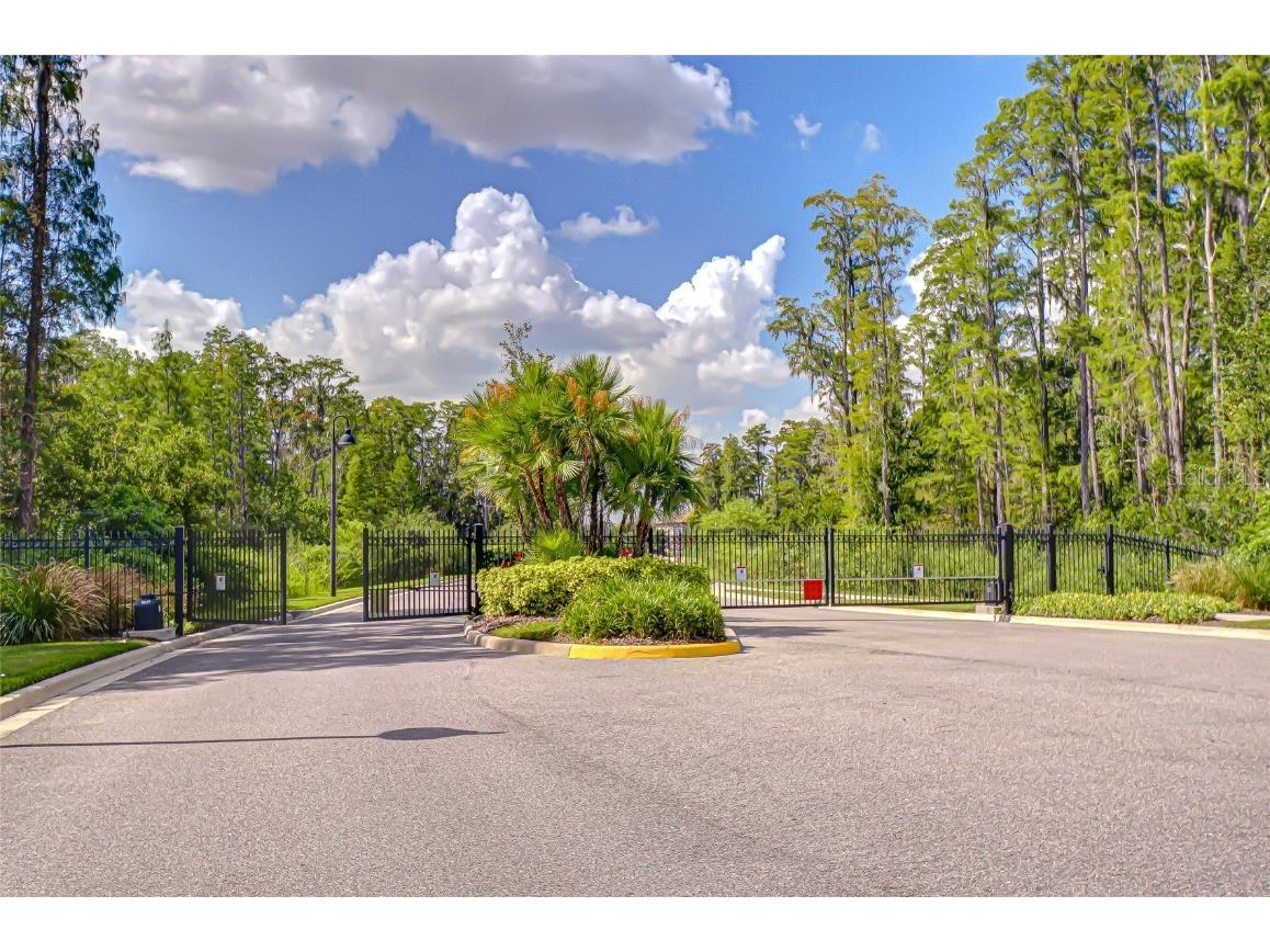 21867 Amelia Rose Way Land O Lakes FL 34637 - CURVE LAKE TB8432549 image67